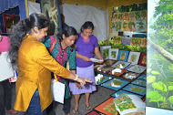 Kala Pola 2014 was held at the Nelum Pokuna Mawatha, Colombo 7 On the 26th of January 2014 from 8.00 a.m to 10.00 p.m.