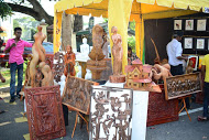 Kala Pola 2014 was held at the Nelum Pokuna Mawatha, Colombo 7 On the 26th of January 2014 from 8.00 a.m to 10.00 p.m.