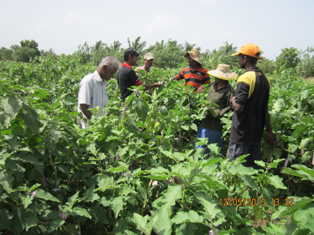 JMS Farmers