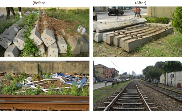 Slave Island Rail Reservation Clean-up